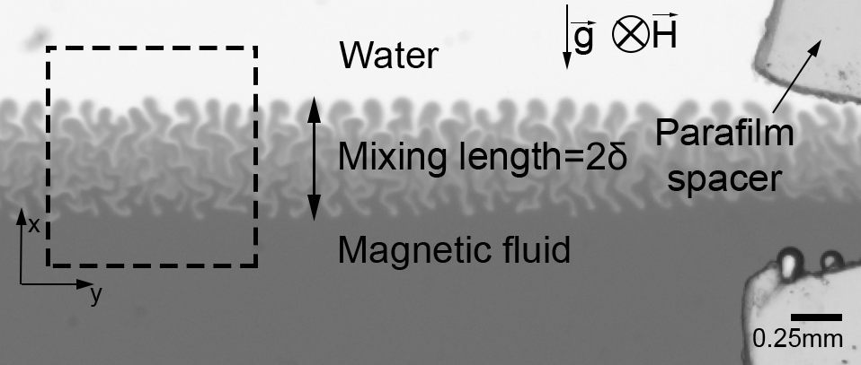 MMML lab tweet media