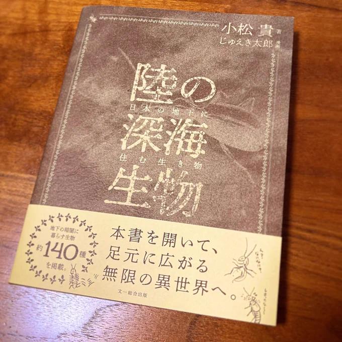 小松貴先生の「陸の深海生物-日本の地下に住む生き物」で4コマを4つほど描かせて頂きました🐞。似顔絵の修正は一切なく、小松先生の懐の深さを感じました。