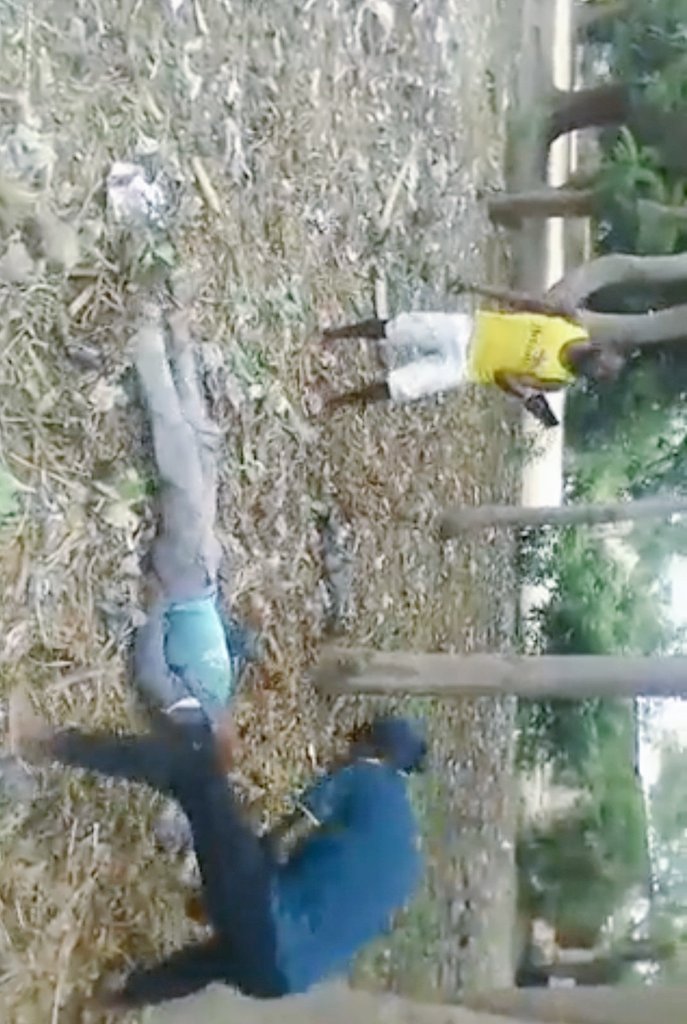 UhakikaRDC's tweet photo. 🇨🇩, le 14/11/023, à Malemba NKulu dans le Haut-Lomoni des concitoyens Kasaiens ont été attaqués cruellement par des jeunes se réclamant des autochtones lubakat. Des vidéos sont d'une extrême violence, où une femme est violée en plein air. Quelle est l'origine de ces actes? 1t https://t.co/34au1wJVDm