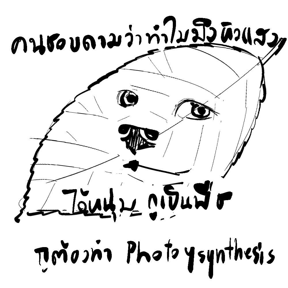 llwslov's tweet photo. @ESTHERXYOU แพรไปคุ้ยมีม55444555มา5555554 https://t.co/CBWCzcT6QG