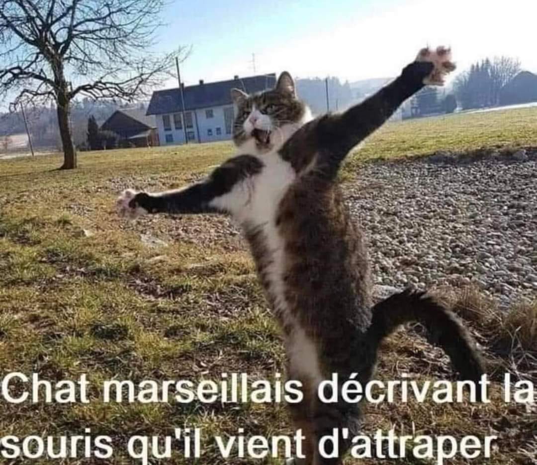 patchagil's tweet photo. https://t.co/XYLzxClh1R