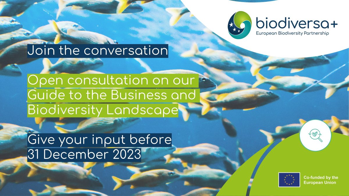 📢 Calling all changemakers!

Shape the future of business and biodiversity in Europe: share your feedback on Biodiversa+'s draft guide on this developing landscape 🌱

🗓️ Deadline: 31 December 2023
👉 buff.ly/3FXkiVb

#BusinessAndBiodiversity #EuropeanResearch