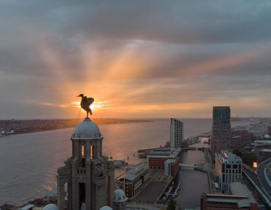 Royal Liver Building 360 Tour tweet media