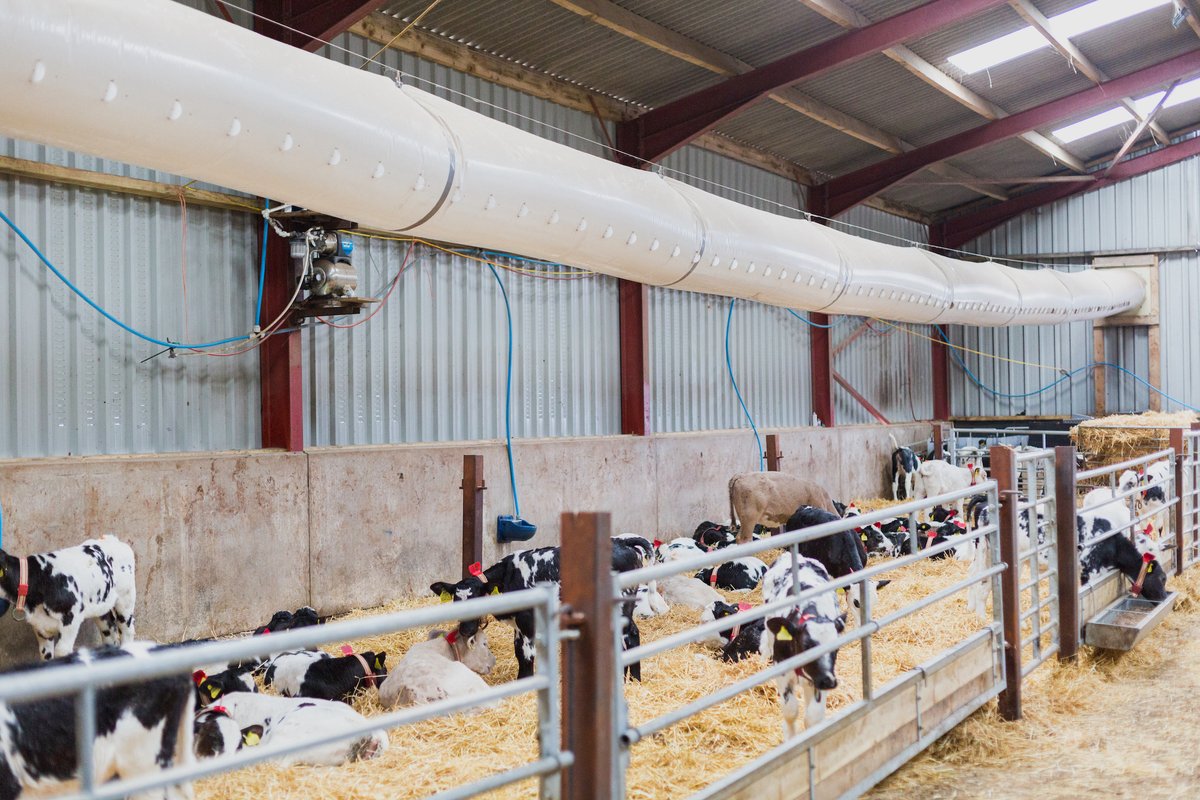 As we gear up for the winter months, it's important to know how to keep your livestock comfortable throughout the colder weather❄️.
Solutions like our Tube Ventilation System can be a smart investment that adapts seamlessly to all shed types.
#ventilation #agriculture #livestock