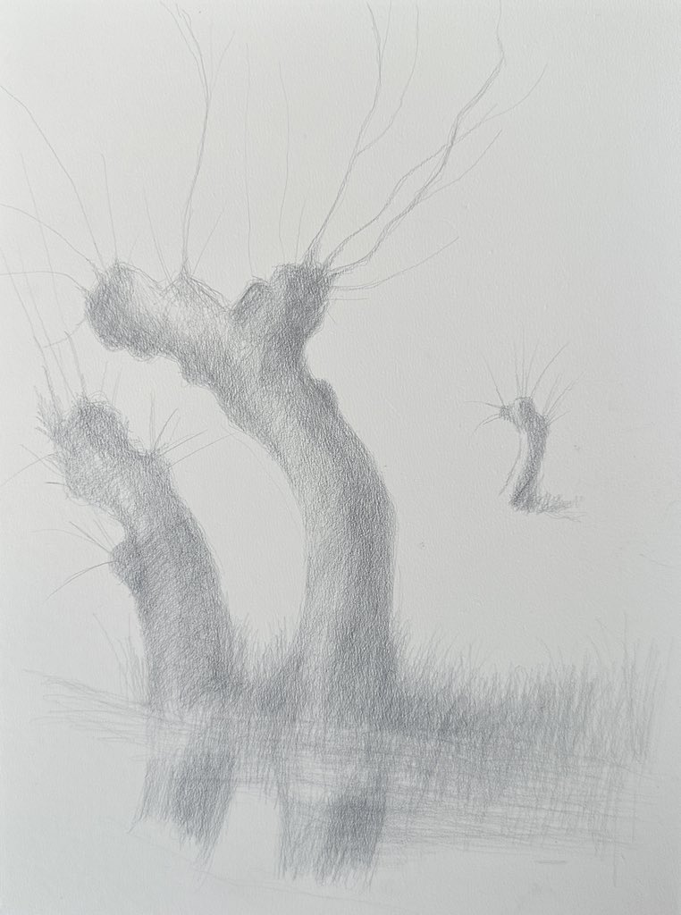 staithesartist's tweet photo. #WIP #silverpoint first attempt. #SomersetLevels #pollarded #willows I am loving the technique, a bit like #etching without all the nasty chemicals. I am already brimming with other ideas! #memories of many years visiting #Somerset https://t.co/3XSdNBJTcv