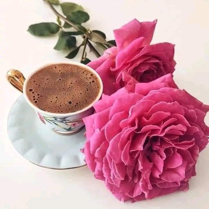 aida_ebrahim's tweet photo. @Quitesamy https://t.co/QDzHkNA4wm