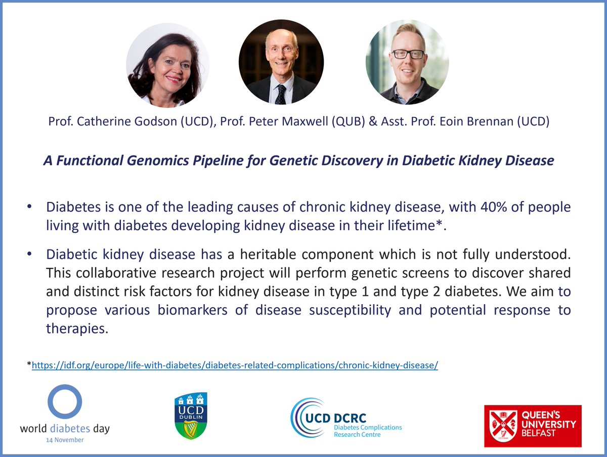 Today is #WorldDiabetesDay. Read more about @UCDDCRC research in diabetic kidney disease at ucd.ie/medicine/news/… @IntDiabetesFed @UCDMedicine @QUBelfast