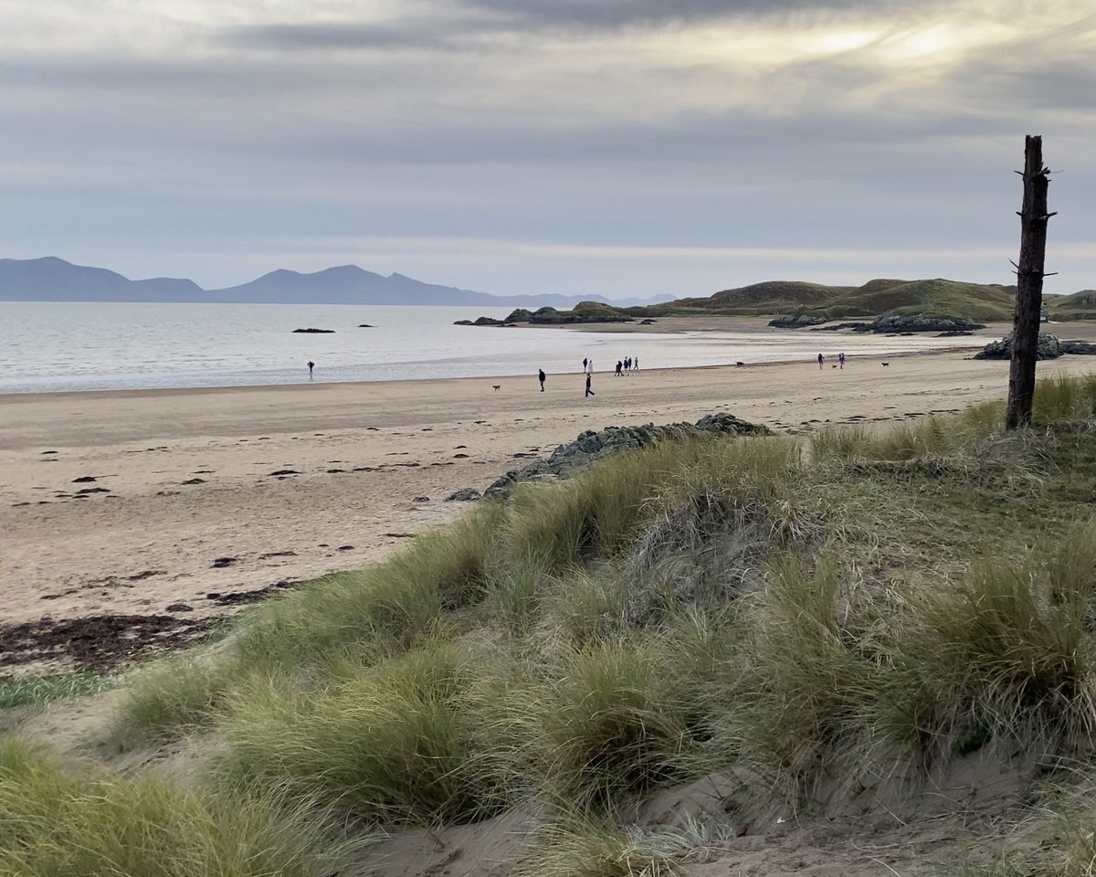 angleseyisland's tweet photo. Emerging from Newborough forest Saturday 11/11 #newborough #anglesey #wales https://t.co/oCryWvlOrx