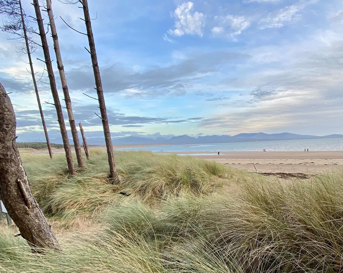 angleseyisland's tweet photo. Emerging from Newborough forest Saturday 11/11 #newborough #anglesey #wales https://t.co/oCryWvlOrx
