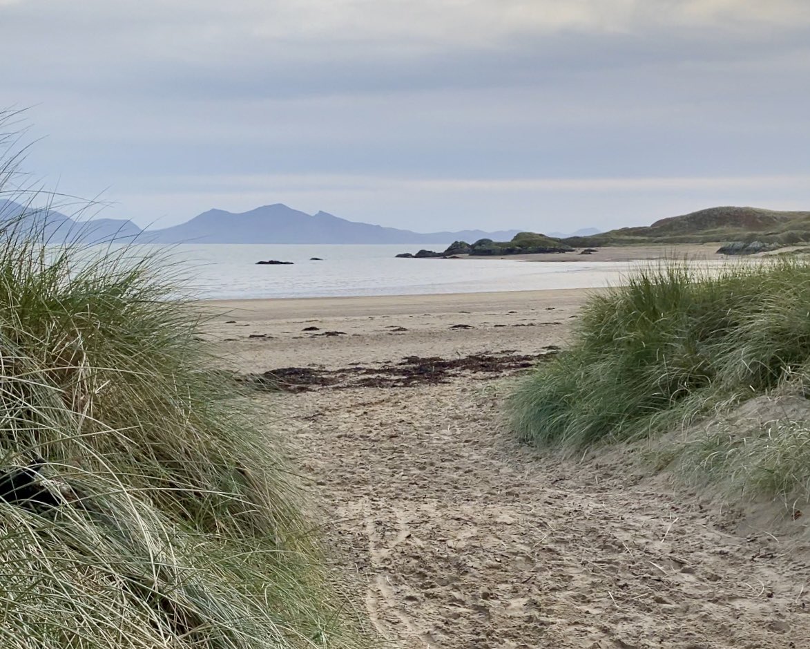 angleseyisland's tweet photo. Emerging from Newborough forest Saturday 11/11 #newborough #anglesey #wales https://t.co/oCryWvlOrx