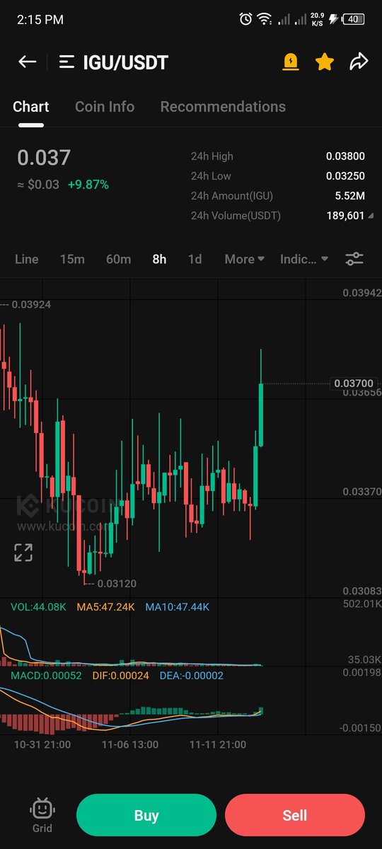 Bull Rider tweet media