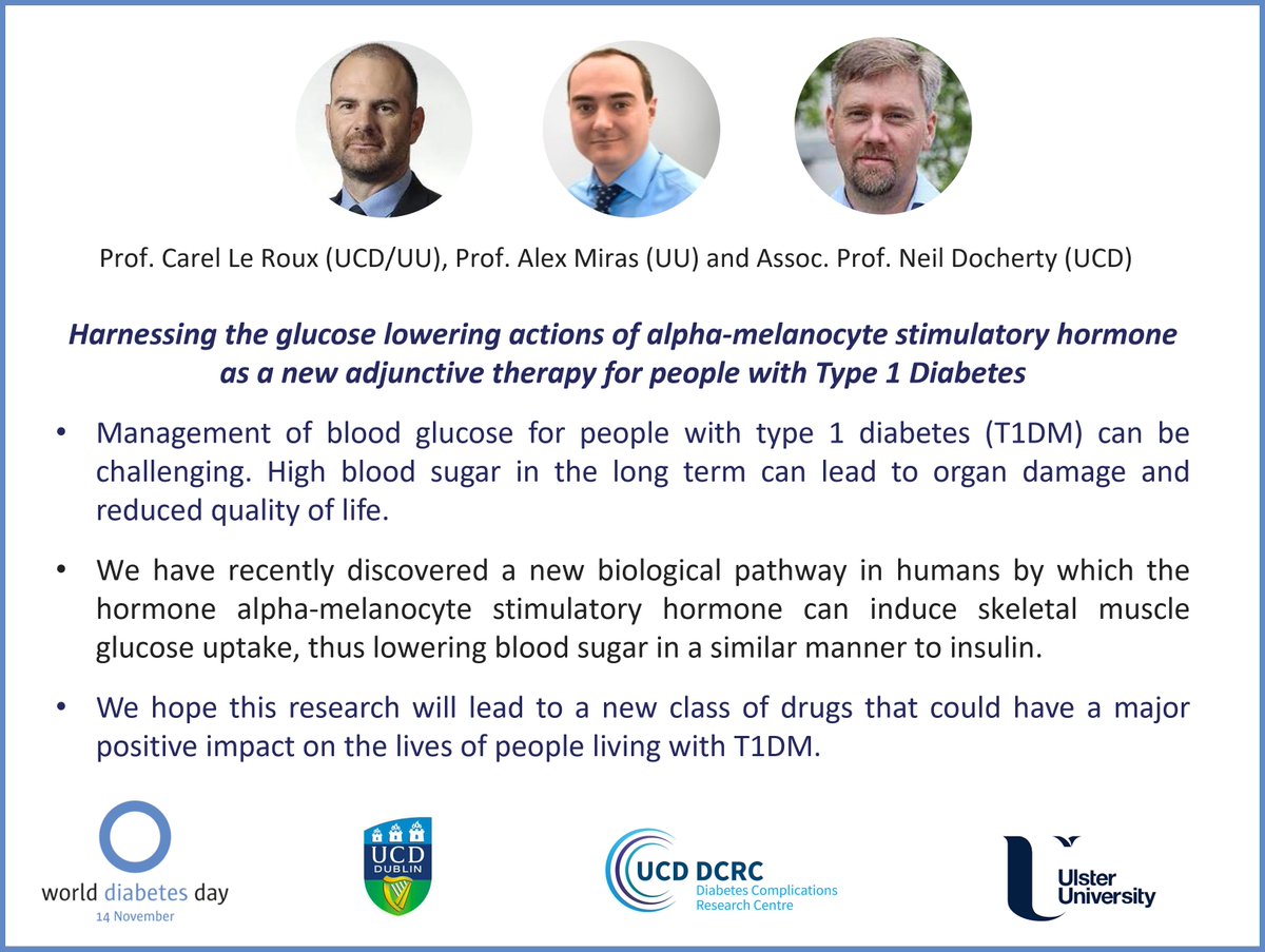 Today is #WorldDiabetesDay. Read more about @UCDDCRC research in regulating blood sugar level at ucd.ie/medicine/news/… @IntDiabetesFed @UCDMedicine @UlsterUni