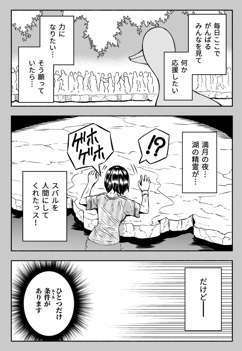 (2/3) 