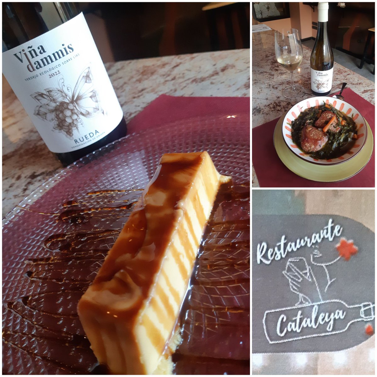 Viña Dammis verdejo Ecológico disfruta en Teruel en restaurante cataleya.