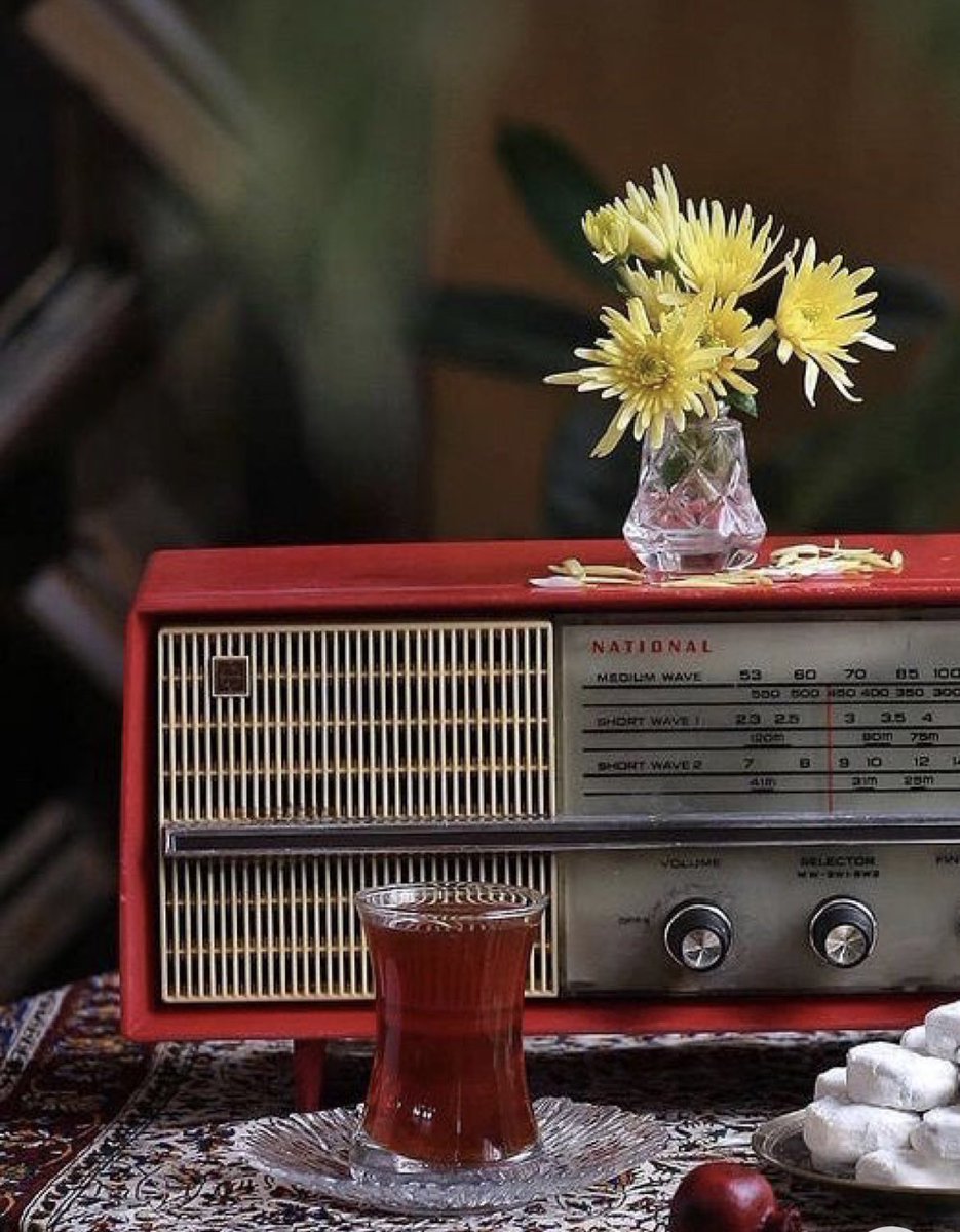 Bir hayal kahvesinde oturup ömür çayından içiyoruz
Her seferinde biraz daha az yanıyor dudaklarımız
Her seferinde biraz daha soğuk çayımız..

Gülten Akın