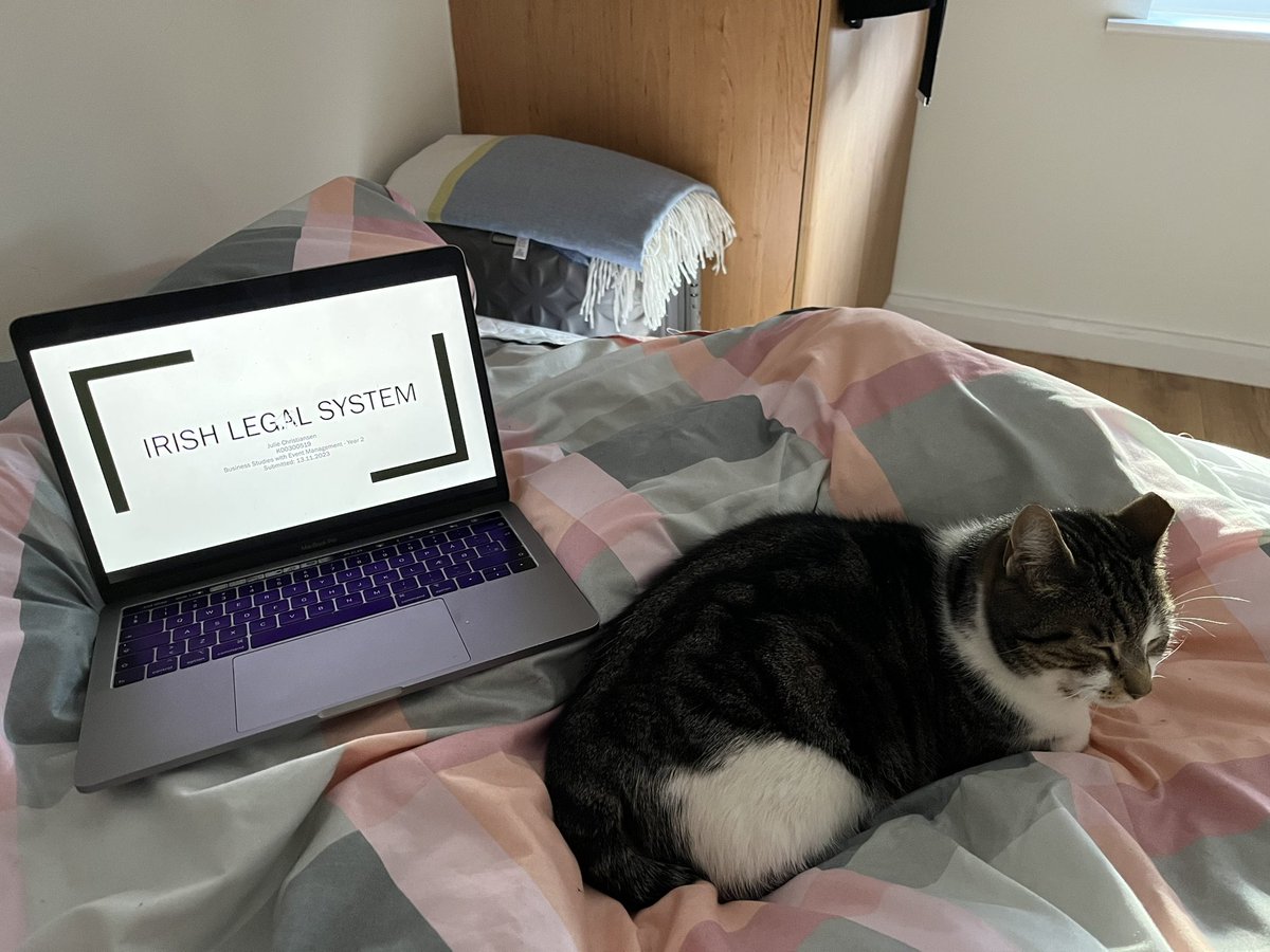 Jules_TUS's tweet photo. Doing the finishing touches on my assignment for Legal class at @TUS_ie 👩‍💻 Both Jamie the Cat and myself love being able to do the presentation from bed using voice recordings in #PowerPoint #Cuddletime #WeAreTUS #EventManagement @MajellaGolden @MarieMitchell17 https://t.co/lvbpwbAkeg