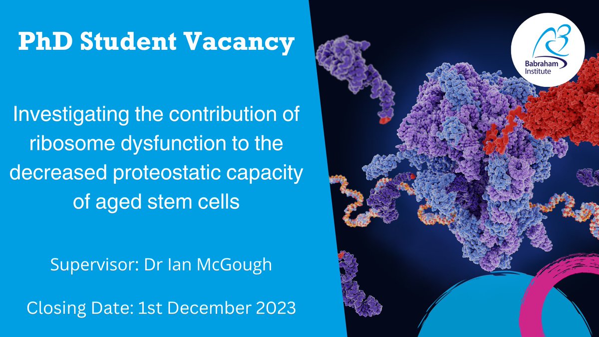 Babraham Institute (@babrahaminst) on Twitter photo PHD OPPORTUNITY: ‘Investigating the contribution of ribosome dysfunction to the decreased proteostatic capacity of aged stem cells’ with Dr Ian McGough
Apply by 1st December
Find out more: babraham.ac.uk/work-and-study…
#PhD #PhDVacancies #PhDStudents #PhDProjects <a href="/Ian_J_McGough/">Ian McGough 🇪🇺 🇮🇪 🪰</a> PHD OPPORTUNITY: ‘Investigating the contribution of ribosome dysfunction to the decreased proteostatic capacity of aged stem cells’ with Dr Ian McGough
Apply by 1st December
Find out more: babraham.ac.uk/work-and-study…
#PhD #PhDVacancies #PhDStudents #PhDProjects <a href="/Ian_J_McGough/">Ian McGough 🇪🇺 🇮🇪 🪰</a>