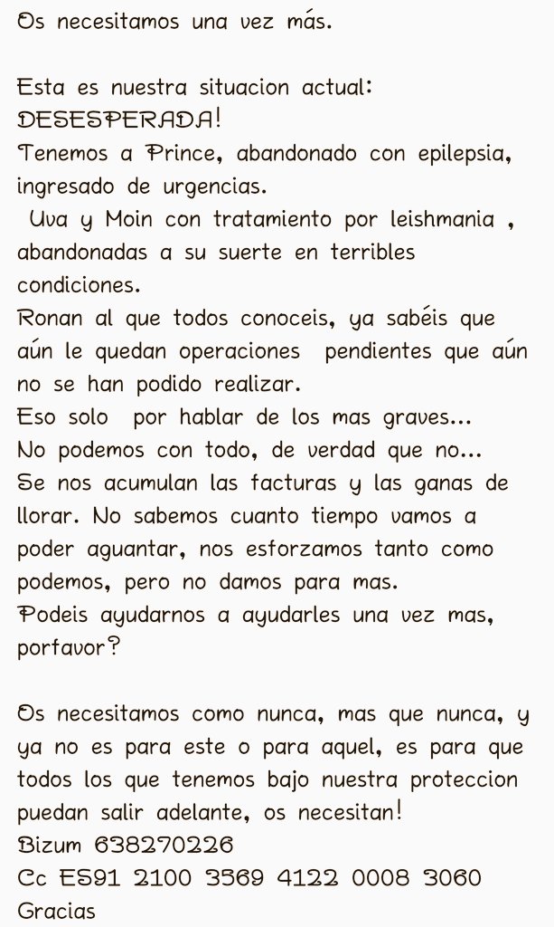 Borders Sin Fronteras tweet media