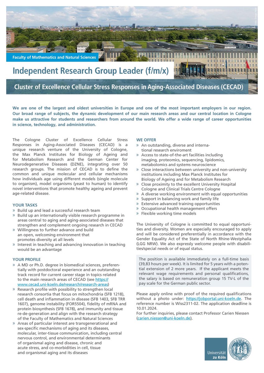 Björn Schumacher tweet media