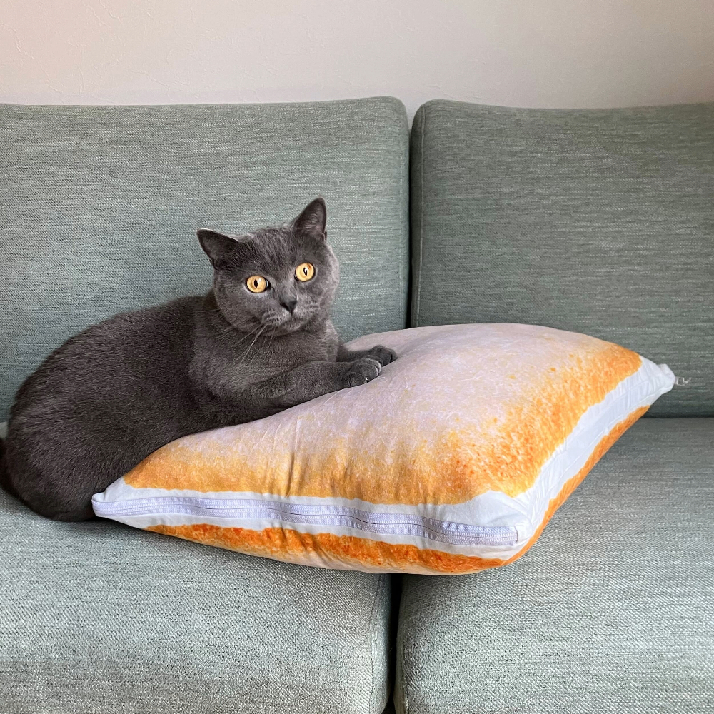 白い恋人 ISHIYA【公式】 on X