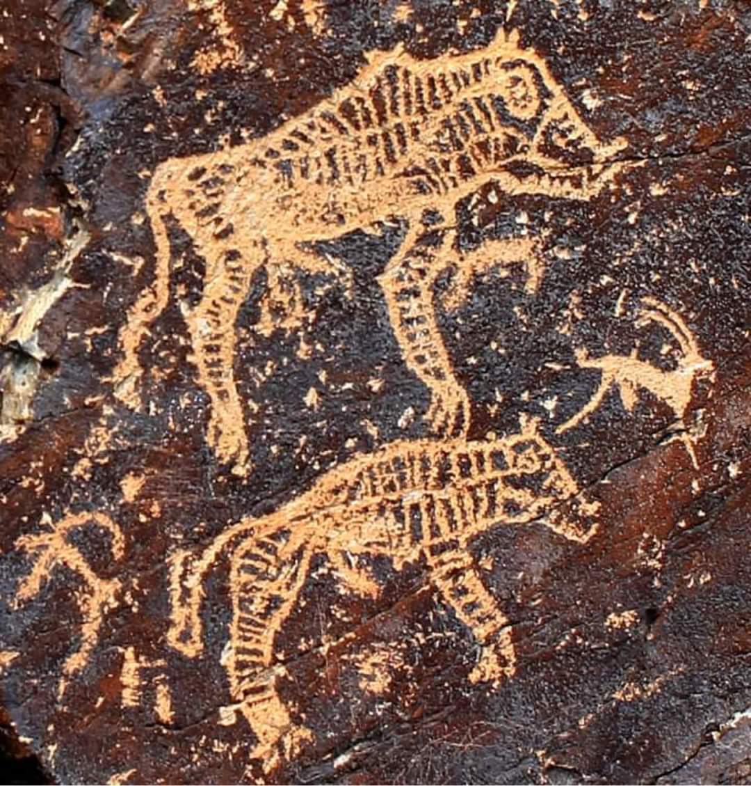 Барс. 
Монголын хадны зураг дахь дүр дүрслэлийн дотор барс дүрслэл онцгойрон ялгардаг. 
Баянхонгор, Бичигтийн аманд бий.