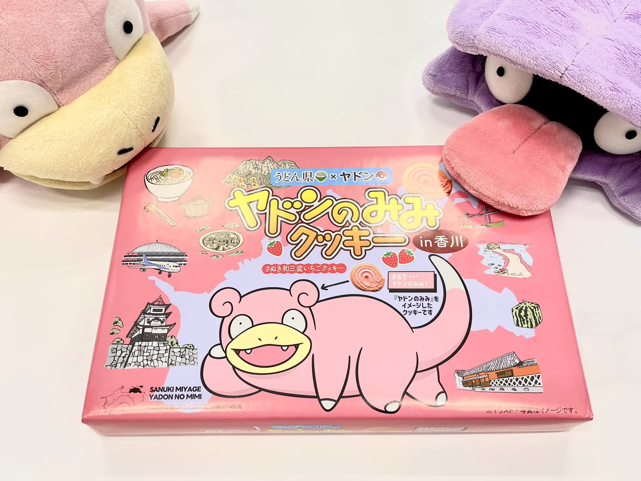 ポケモンだいすきクラブ編集部【公式】 on X: 