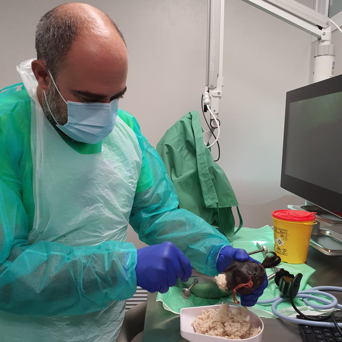 Nueva jornada de estudio anatómico en el aula de disección de la <a href="/SaludUPNA/">Ciencias Salud UPNA</a> 
Ayer con dos invitados, el <a href="/drmarquesrapela/">Dr Alberto Marqués</a> y una antigua cabeza reducida de la tribu Shuar de Ecuador que estuvimos estudiando. 
#anatomia #UnidadColumnaLasGaunas <a href="/FisioLasGaunas/">Fisioterapia y Medicina Deportiva Las Gaunas</a>