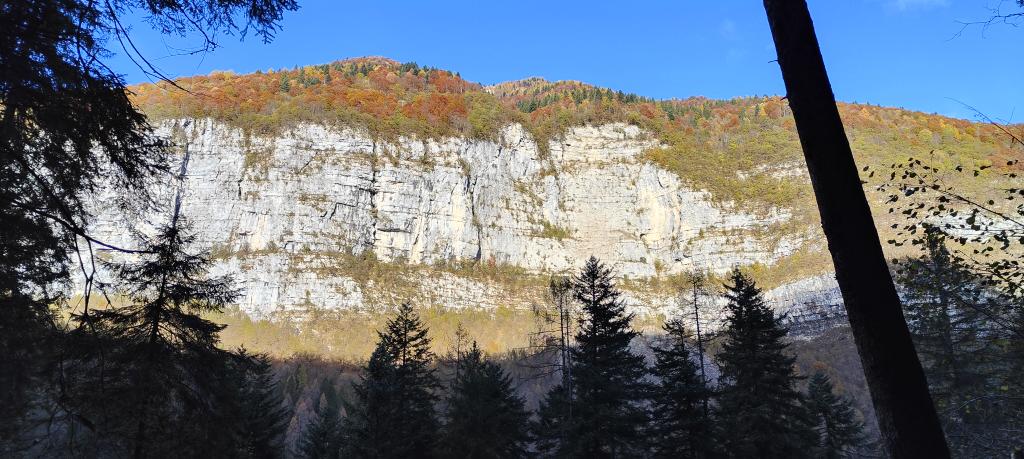 galloforcello2's tweet image. Da lassù in tempi antichi  1981/82/83 i teleferisti della ridente borgata di #igne tirarono  7 cavi a sbalzo per il trasporto della legna. Più di 1000mt . Crode de le perteghe #soffranco #longarone #14novembre2023 lavori che nessuno or ora farebbe più.