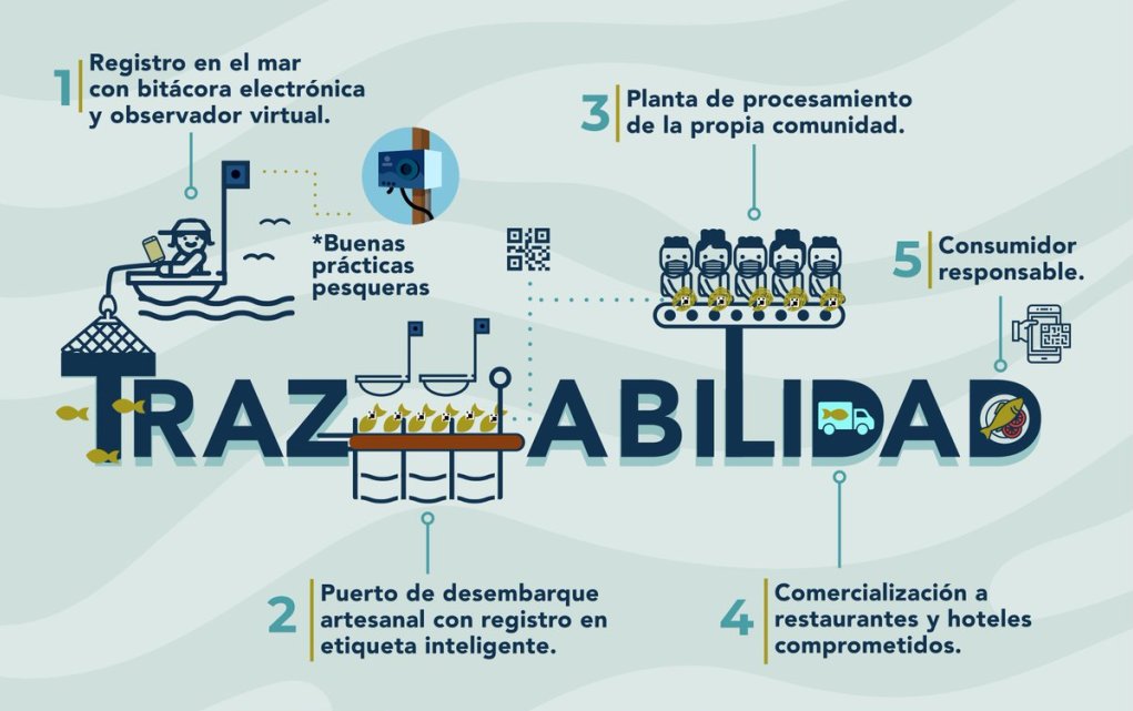 Anfaco celebra que la UE centralice un sistema digital de certificados de captura. Si quieres leer la noticia completa: rutapesquera.com/anfaco-celebra… o bien en: rutapesquera.com #rutapesquera #rutanaval #revistarutapesquera