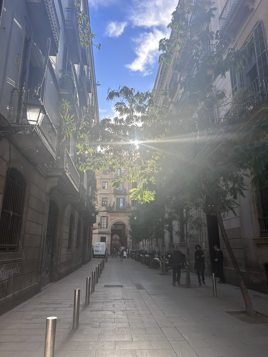 Kirstie Cartledge tweet media