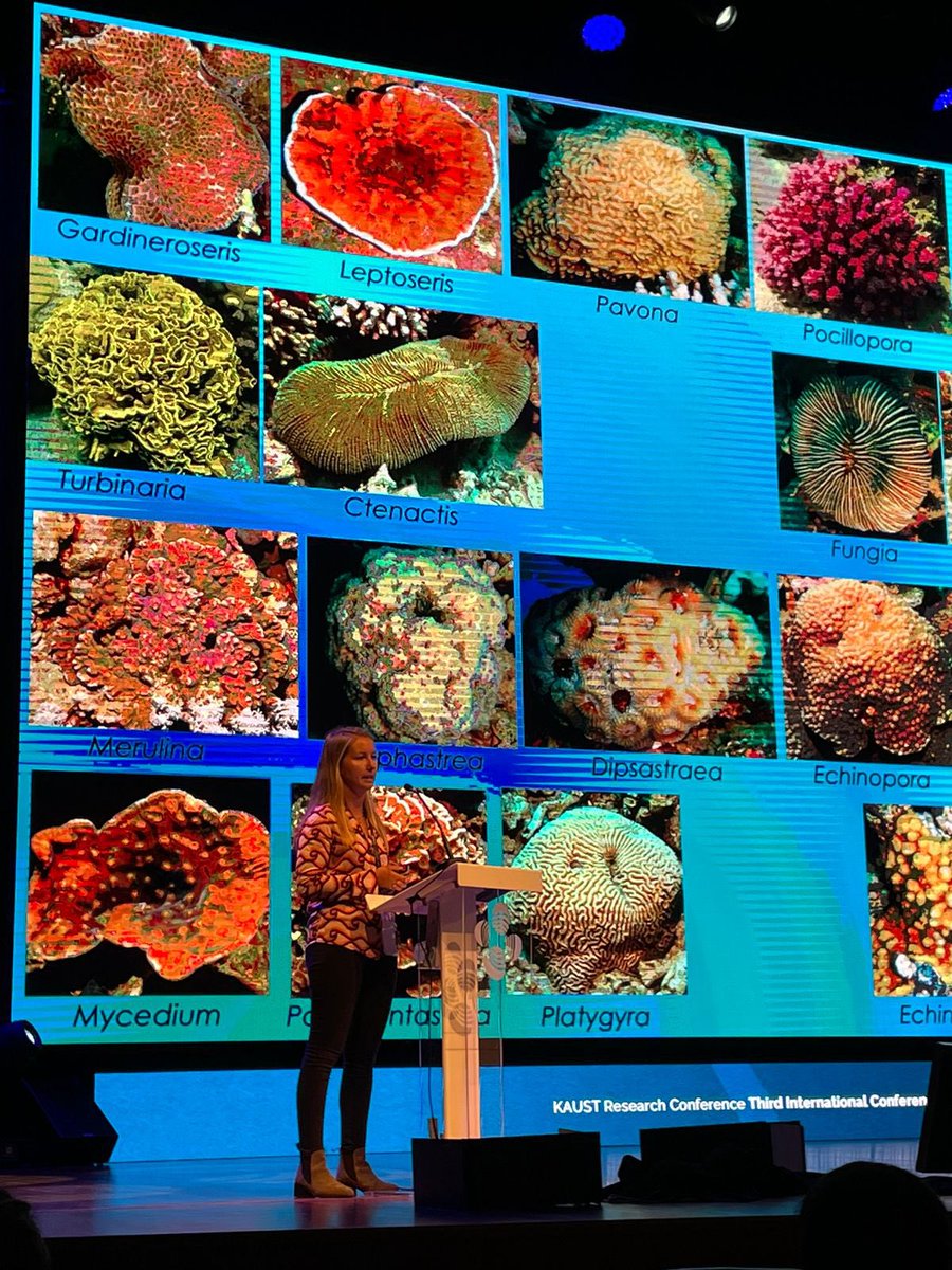 Thrilled to see my pet animals on a screen this big! Had a great time talking about my research at ICMERS-3 this morning. <a href="/KaustResearch/">KAUST Research</a> <a href="/HabbLab/">HaBB Lab</a>
