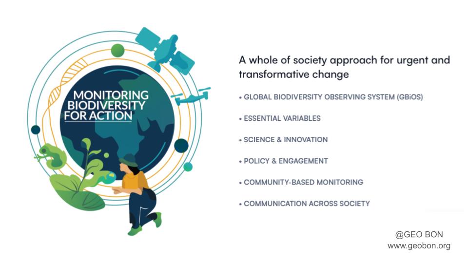 SimplexDNA 🧬🌍 tweet media