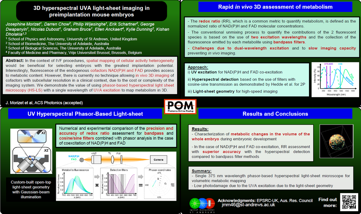 Optical Manipulation Group, St Andrews (@opticmanip) on Twitter photo Josephine Morizet is presenting hyperspectral light sheet imaging of metabolic marks in developing embryos:
x.com/OpticManip/sta…
Data from work published yesterday in <a href="/ACSPhotonics/">ACS Photonics</a> ! doi.org/10.1021/acspho… Josephine Morizet is presenting hyperspectral light sheet imaging of metabolic marks in developing embryos:
x.com/OpticManip/sta…
Data from work published yesterday in <a href="/ACSPhotonics/">ACS Photonics</a> ! doi.org/10.1021/acspho…