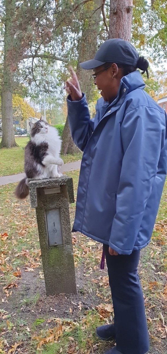 On the tranquil grounds of Bethlem, I find solace in the company of a furry friend, gently stroking the cat with a sense of calm. The rhythmic purring resonates, creating a moment of serenity amid the responsibilities of the day.