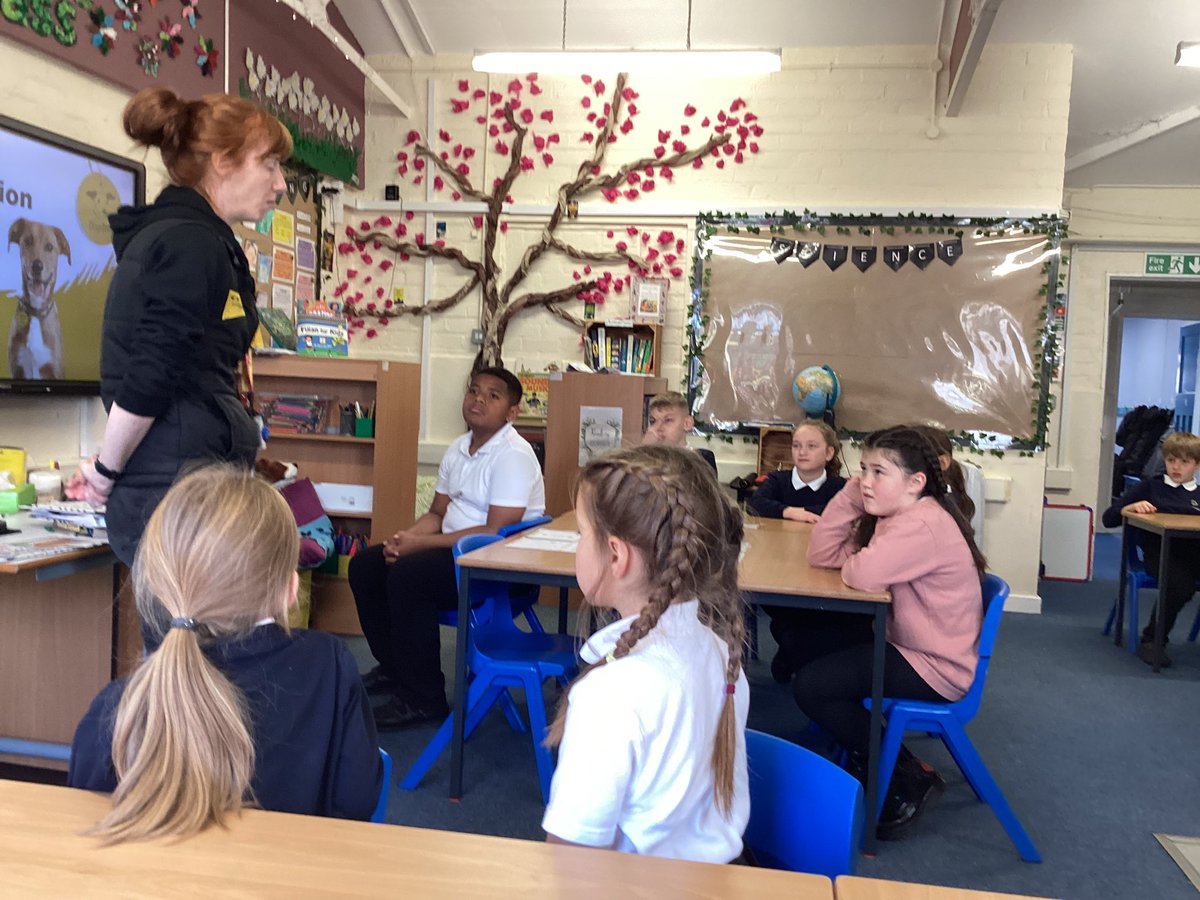 Alanbrooke Academy tweet media