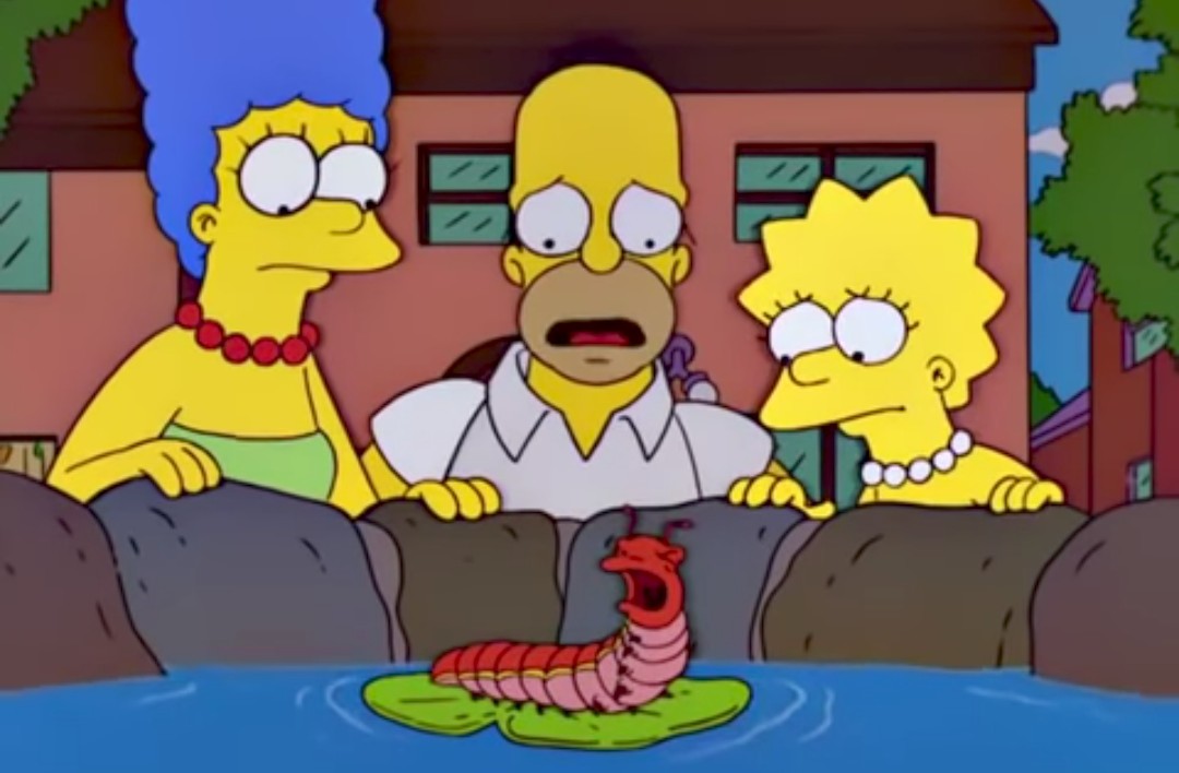 braiso93's tweet photo. A señora de onte é a reencarnación da oruga dos Simpsons 🤣🤣 #PerroSanxe telos contentos 🤣🤣 https://t.co/0E182zRkxN