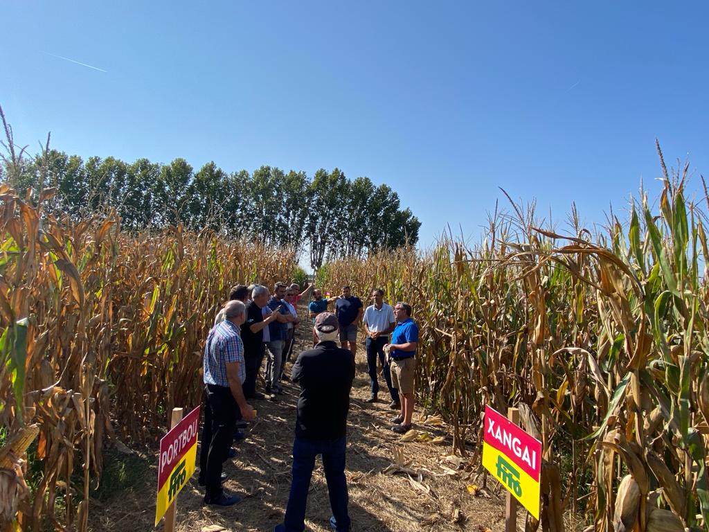 rpalau11's tweet photo. Agradecer a todos los agricultores que han disfrutado de los días de campo de Maíz de @SemillasFito🌽
 
Hemos presenciado las nuevas variedades FAO700, el Mabuko y las de ciclo corto (FAO400) como el Talabor o Gosol YG .

Muchísimas gracias a todos por el tiempo 🔝
#maiz #fielday https://t.co/VTcKoEuquS