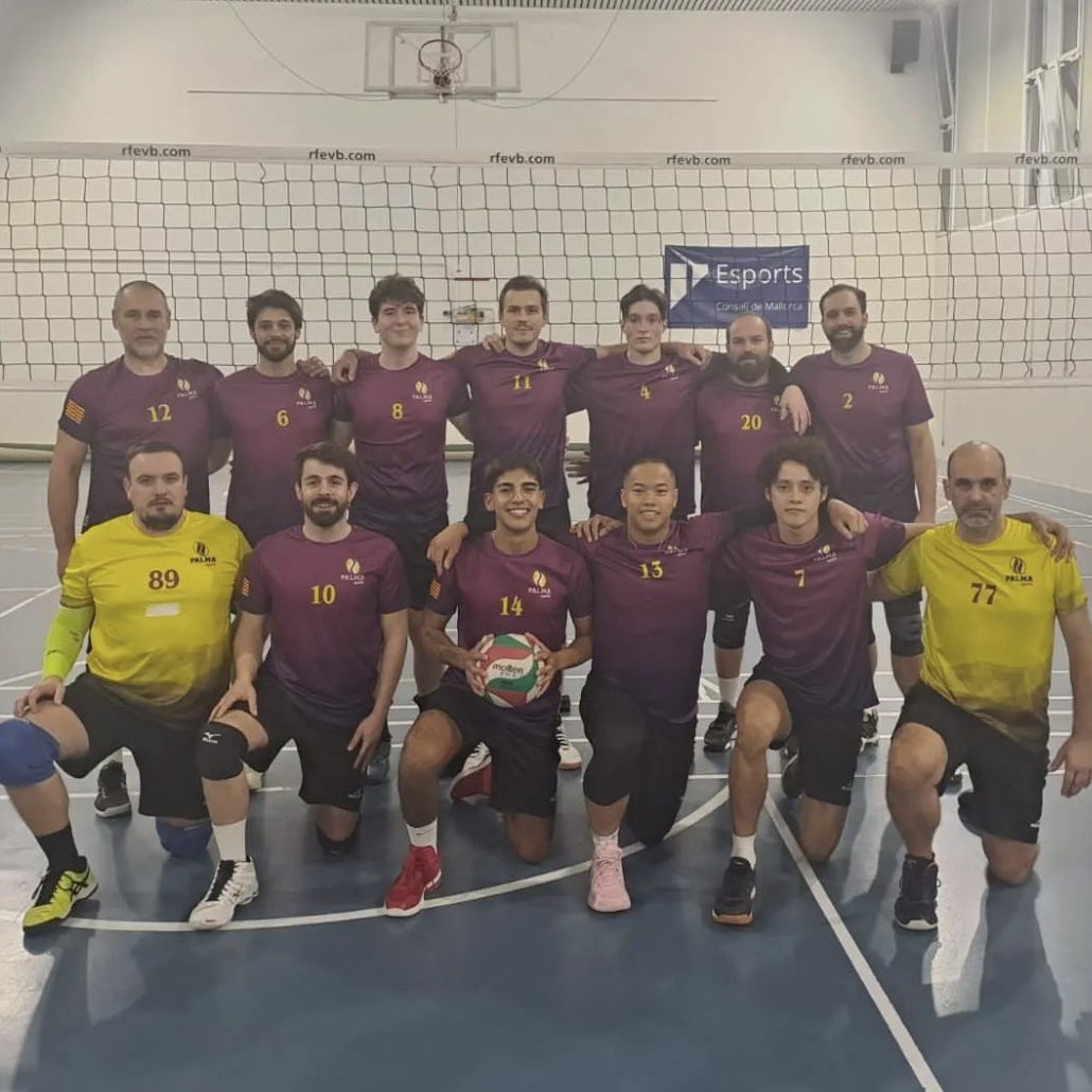 fedvbib's tweet photo. 📊 Classificació de la Primera Balear masculina després de la disputa de la 𝗷𝗼𝗿𝗻𝗮𝗱𝗮 𝟲. 

🔝 L'Alaró Vòlei es col·loca líder en solitari. 

📈 El Cor Pitius i el CV Sóller protagonitzen les pujades més fortes.

📲 Classificació completa a https://t.co/H79ga4lRSI https://t.co/LOqVQbKrBe
