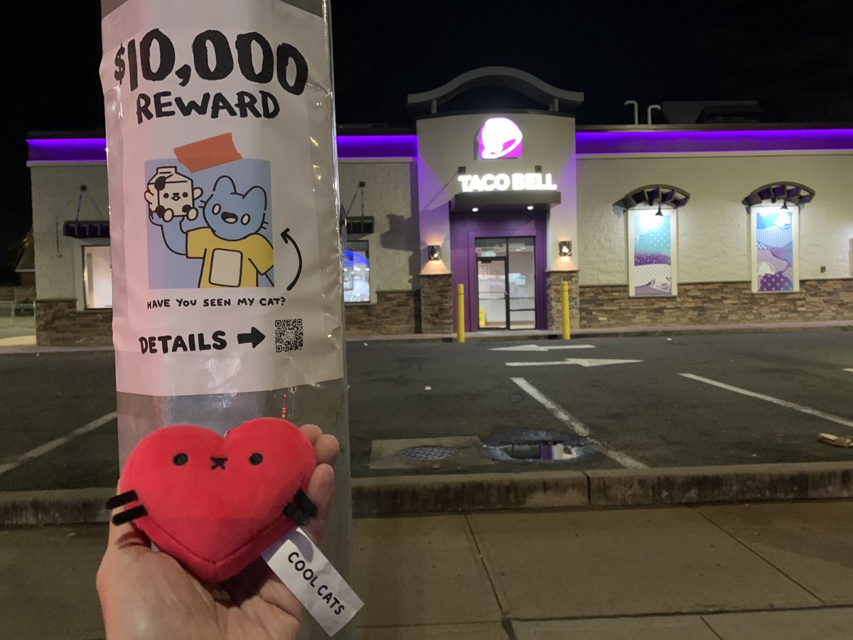 LVSpike420's tweet photo. OPERATION: FIND BLUE 🕵️

Late night hunt for Blue didn’t go so well but I made sure to put up signs all over Queens to help out Chugs! 🥛🐱💙 @coolcats #WLTC #FindBlue #HelpChugs 

Definitely had to hit up Taco Bell first for obvious reasons 😉 #IYKYK https://t.co/Sl0yMUZeuX