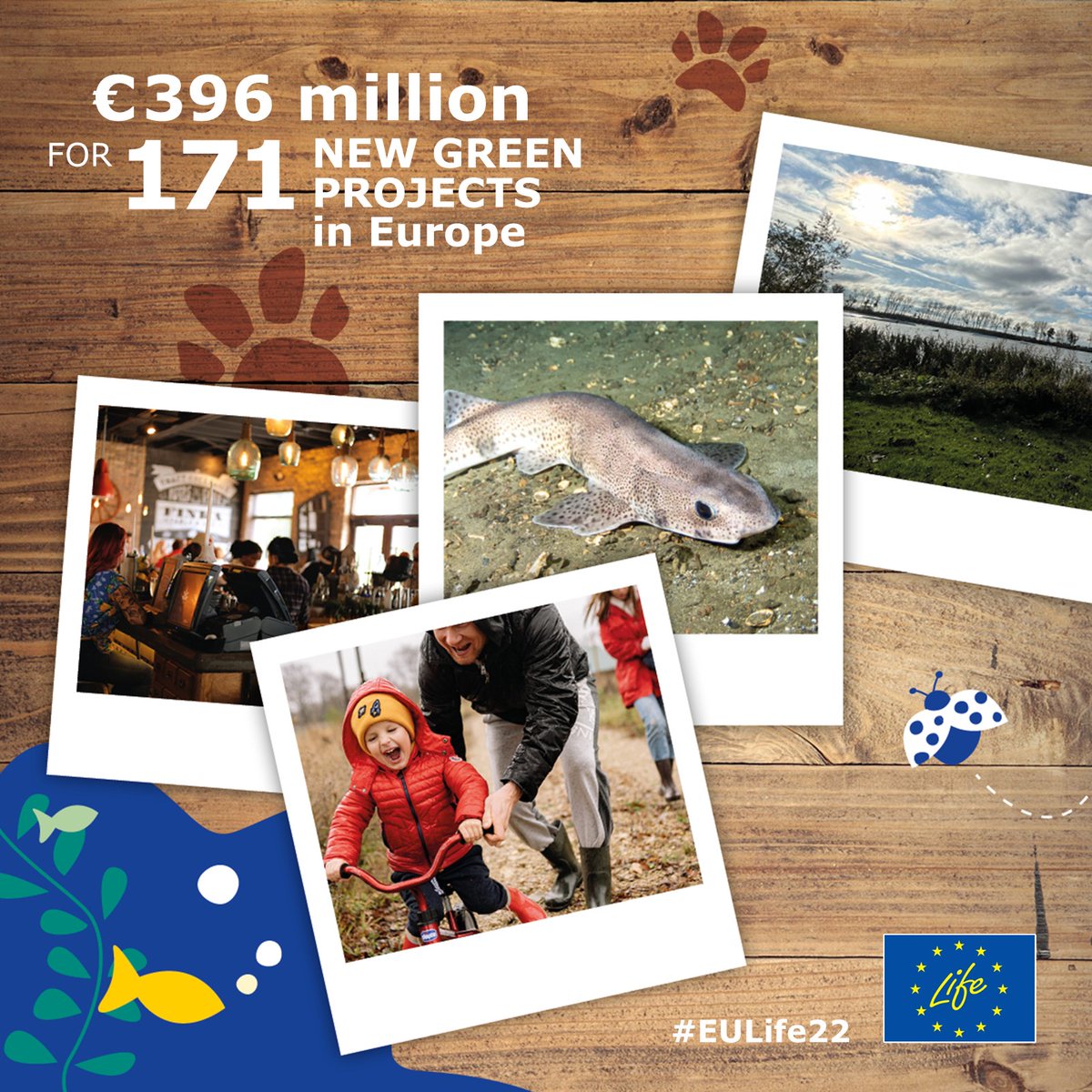 Big news from the #LIFEProgramme!🌍💚 The @EU_Commission invests €396 million in 171 new #EULife22 projects on: 🌳 Nature & #EUBiodiversity ♻️#CircularEconomy & Quality of Life 🌡️#ClimateAction ⚡ Clean #EnergyTransition Meet all new #LIFEProjects👇 europa.eu/!xkCX44