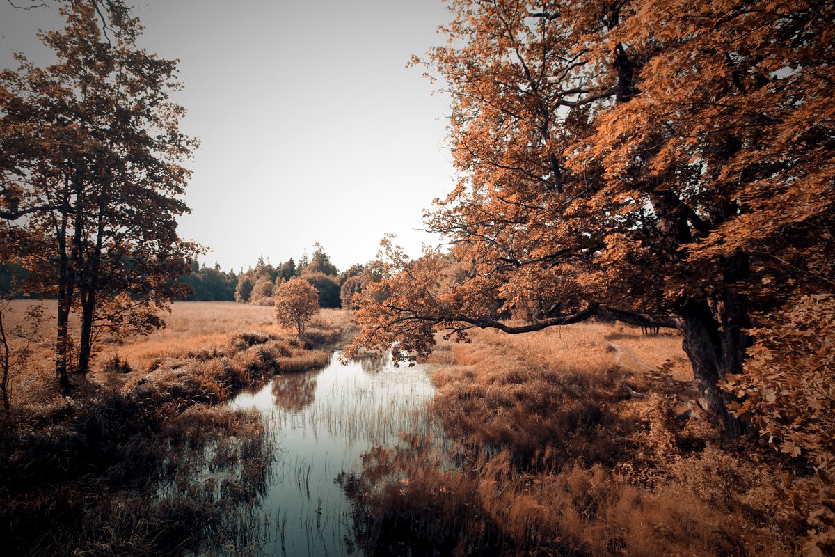 AfscheidVerlies's tweet photo. Natuurbegraafplaatsen in Nederland: uitvaartlocaties in de natuur

https://t.co/mW94C2qjsi
#afscheidenverlies #natuurbegraafplaatsen #natuur #uitvaartlocaties https://t.co/OxCgYqhPT0
