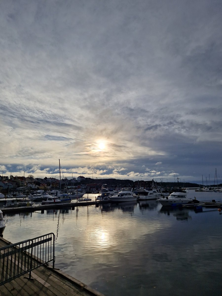 Jess🧘‍♀️💚💙🦋 tweet media