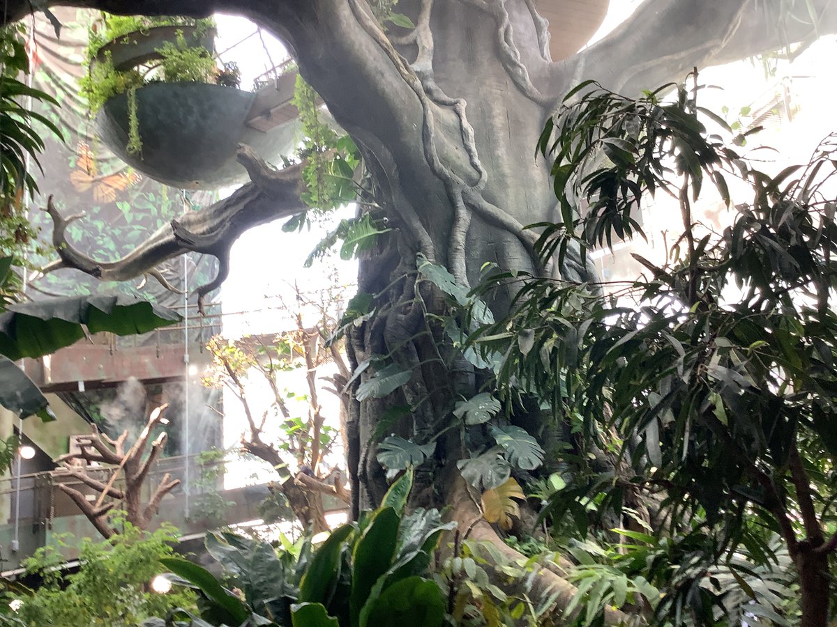 Freny Patrawala tweet media