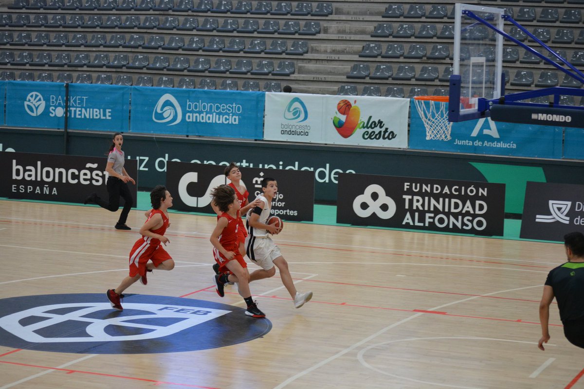 Baloncesto y Diabetes tweet media