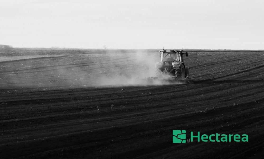 Belle nouvelle pour @hectarea_io !

Un mois seulement après avoir annoncé sa première levée de fonds, la startup, cofondée en 2022 par Paul Rodrigues et Adime Amoukou, lance officiellement sa plateforme d’investissement dédiée au foncier agricole. 👏

🌻 hectarea.io