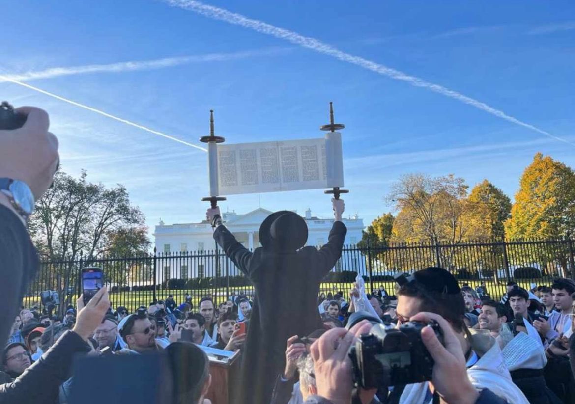 HilzFuld's tweet photo. I love this picture more than words can describe. ✡️ https://t.co/3LSbCo0FbC