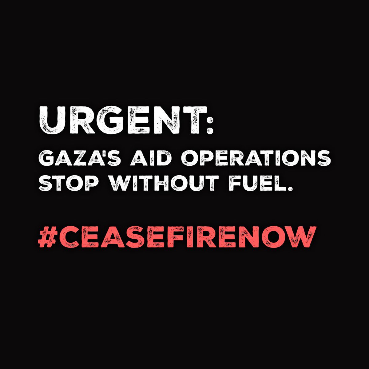 HI_Advocacy tweet media