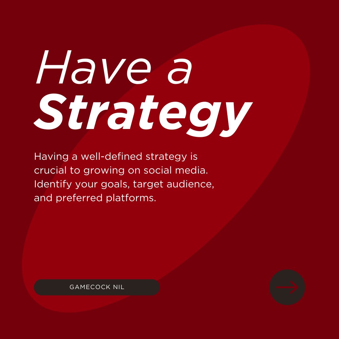 University of South Carolina NIL tweet media