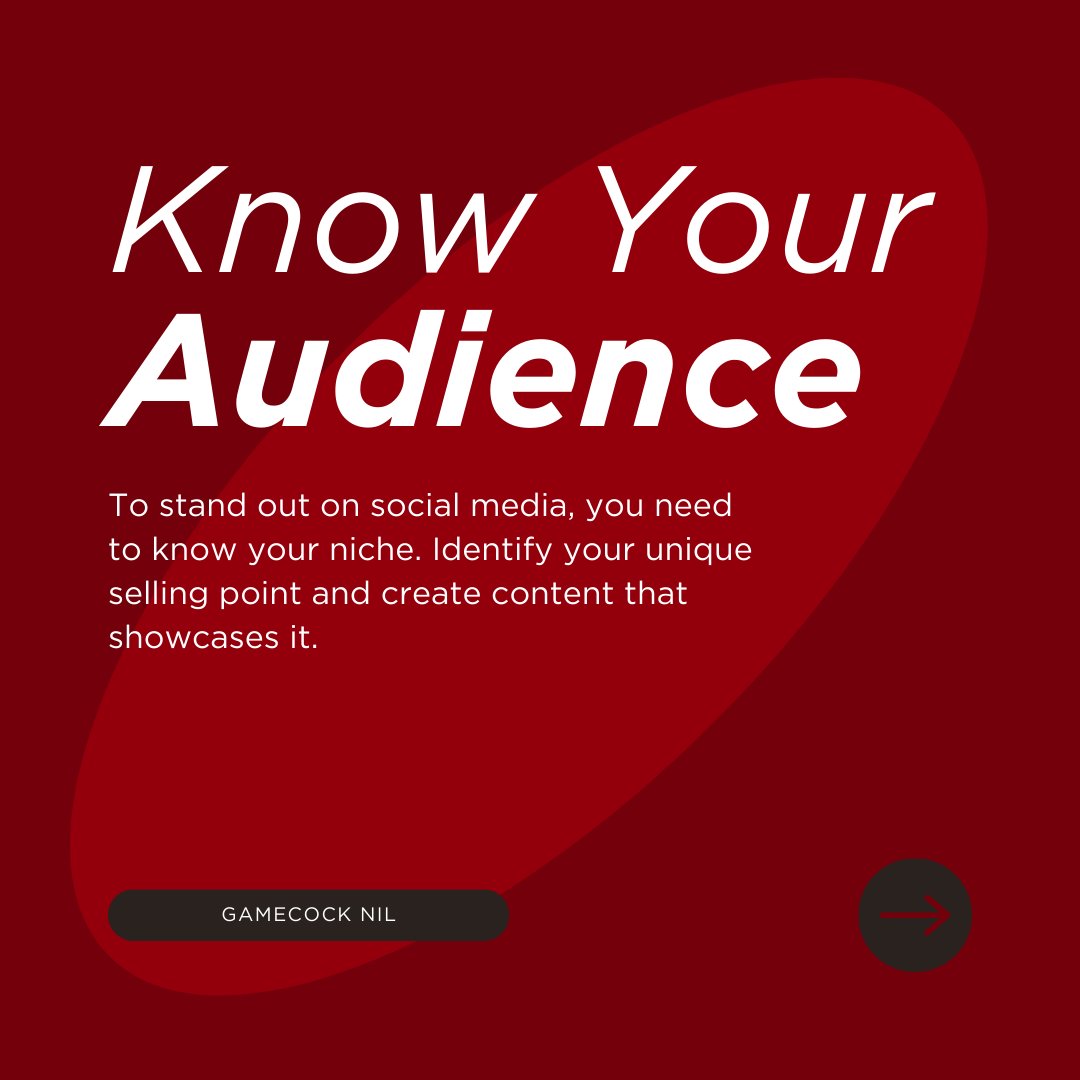 University of South Carolina NIL tweet media