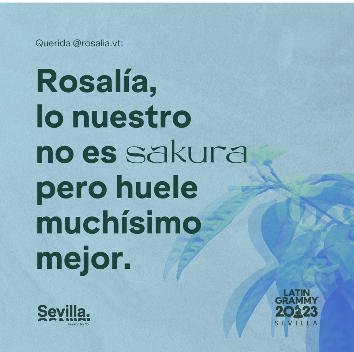 inmaculada jimenez tweet media